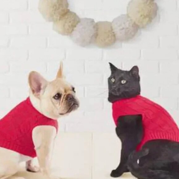 Target Wondershop Other - Target Wondershop Pet Sweater Red, XS, NWOT